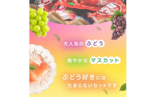 60粒入り！下仁田の蒟蒻ゼリーソフトタイプ2種 ぶどう好きセット（2種×5袋6粒入り） F21K-368