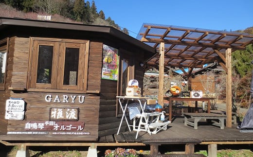 手回しオルゴールGARYU-mini F21K-294