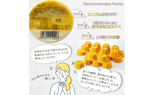 濃厚マンゴープリン 85g×24個 手土産 おやつ デザート スイーツ こだわり 南国 トロピカル フルーツ 果物 F21K-064
