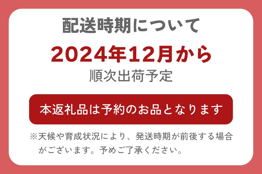 [黒澤農園] 有機栽培キウイフルーツ (約2kg) 12月中旬より順次発送｜数量限定 期間限定 キウイ ヘイワード 果物 果実 フルーツ 農家直送 産地直送 有機栽培 国産 甘楽町産 群馬県産 [0245]