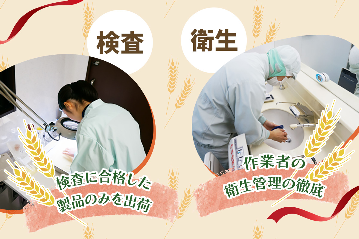 パスタ 15kg (1kg×15袋)｜大容量 コルノマカロニー スパゲティ スパゲッティ パスタ 乾麺 麺 備蓄 保存食 国内製造 デュラムセモリナ [0219]