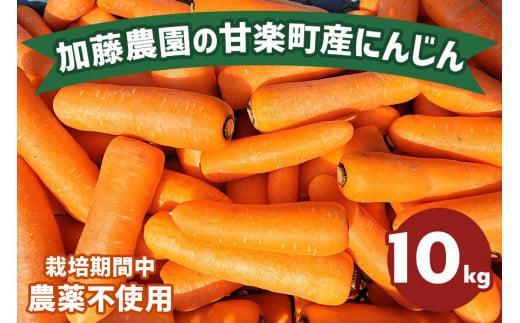 産地直送！加藤農園の甘楽町産にんじん 10kg｜人参 ニンジン 野菜 キャロット 国産 新鮮 農家直送 産地直送 煮物 かき揚げ 甘楽町 数量限定 期間限定 [0249]