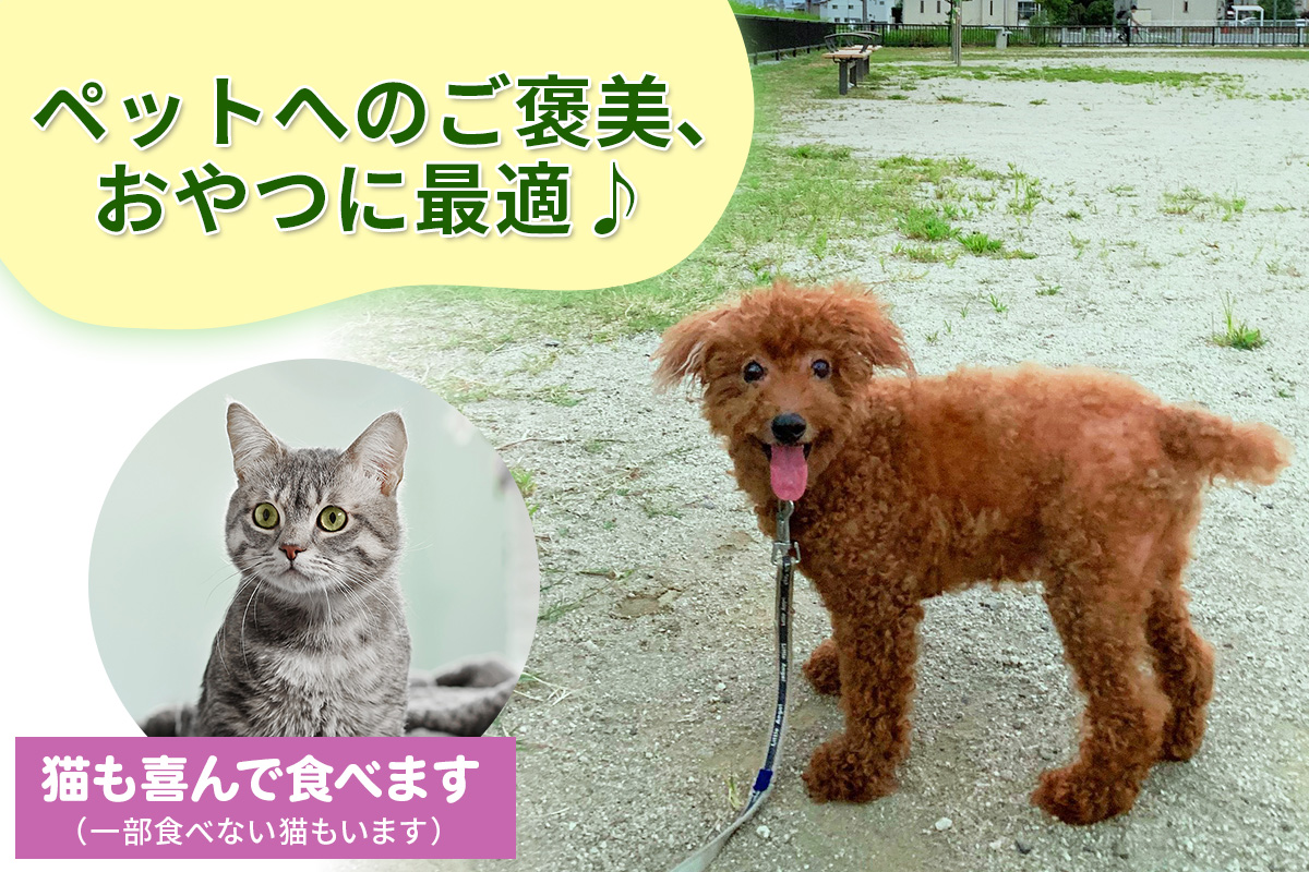 ペット用 鹿ジャーキー 150g (1袋)｜ジャーキー ジビエ 鹿肉 ペットフード おやつ ペット用品 国産 群馬県産 甘楽町製造 [0298]