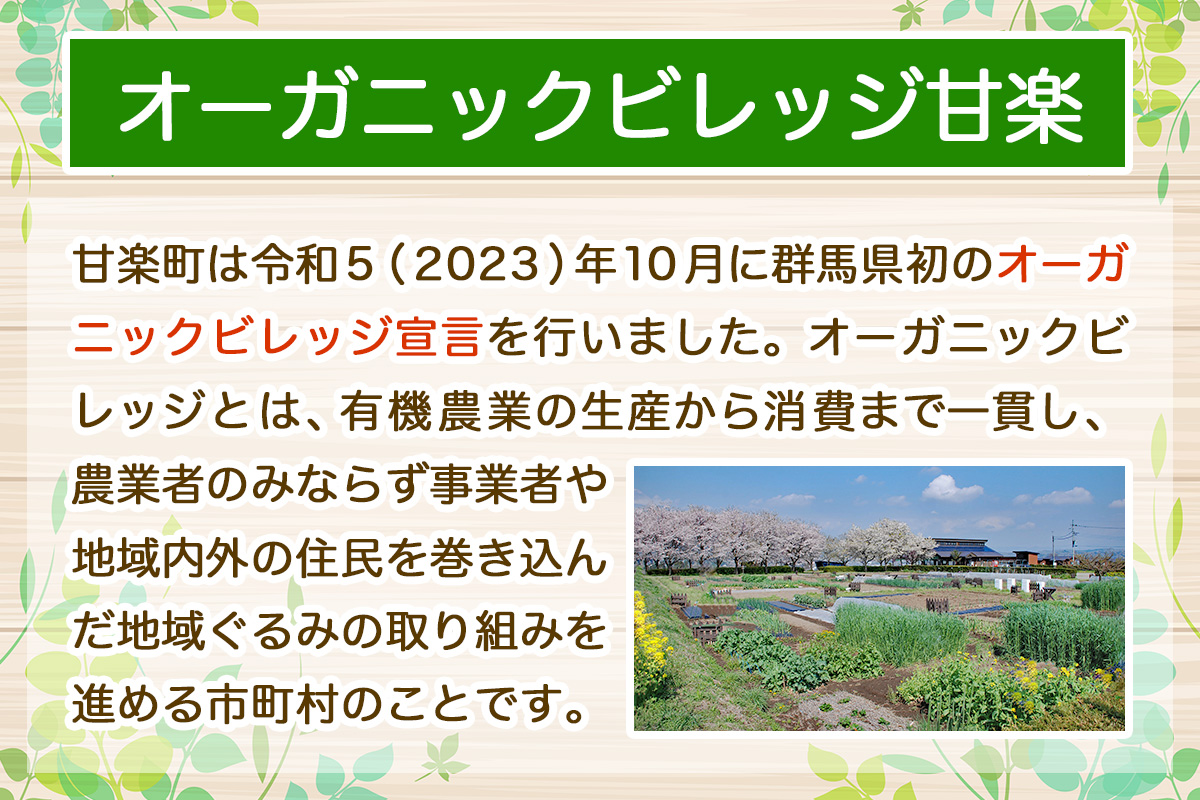[返礼品なし] 群馬県甘楽町 オーガニックビレッジ 有機農業の産地づくり推進支援 応援寄附金千円｜応援 支援 農業 有機農業 甘楽町 群馬県 [0337]