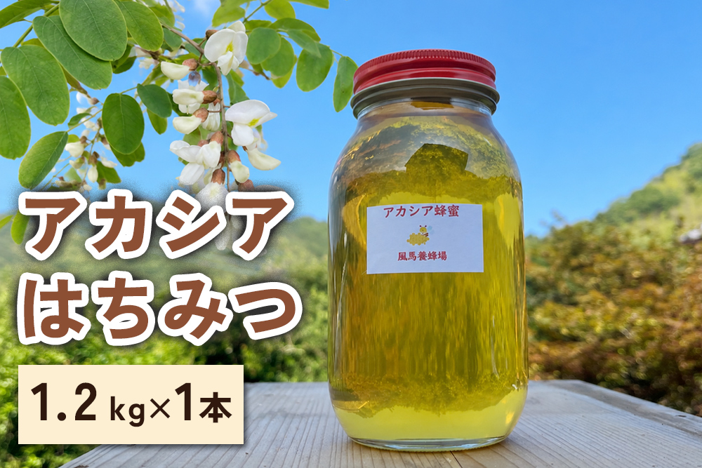 風馬養蜂場 アカシアはちみつ 大びん1.2kg｜大容量 国産 純粋はちみつ 蜂蜜 ハチミツ 無添加 ハニー 産地直送 甘楽町 群馬県 [0358]