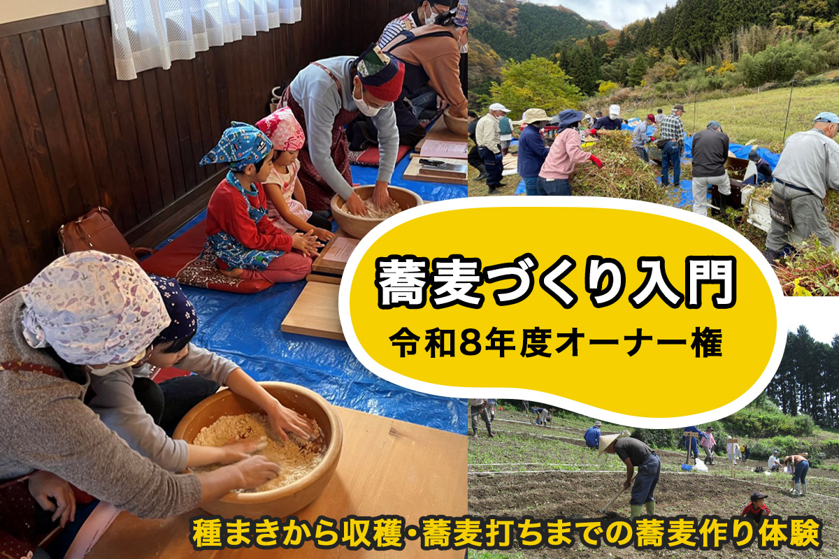 蕎麦づくり入門 令和8年度オーナー権 種まきから収穫 蕎麦打ちまでの蕎麦作り体験｜蕎麦打ち 農業体験 親子体験型 週末体験 収穫 体験 お蕎麦 そば イベント 初心者歓迎 群馬県 甘楽町 [0357]