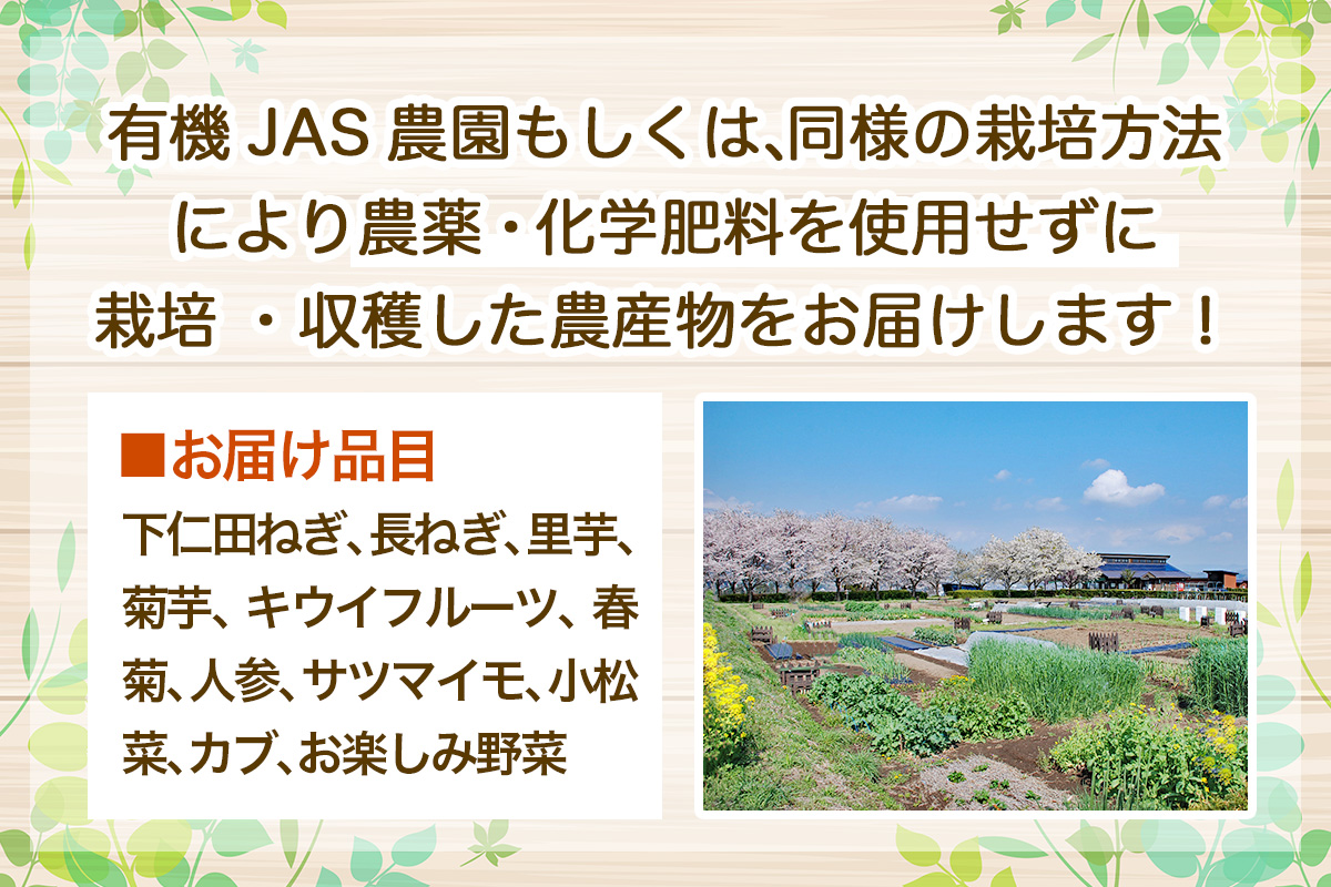 旬の有機野菜詰合せ／群馬県甘楽町産｜有機野菜 新鮮野菜 有機栽培 獲れたて 産地直送 群馬県産 甘楽町産 [0350]