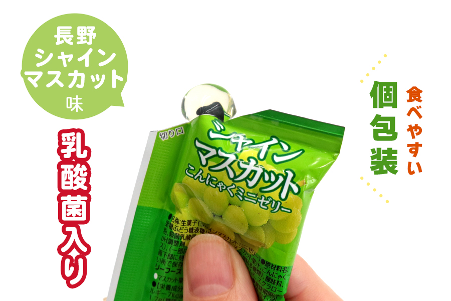 こんにゃくパーク「お得用こんにゃくミニゼリー (長野シャインマスカット味)」20個入×9袋｜シャインマスカット 乳酸菌 蒟蒻 ヘルシー スイーツ デザート おやつ  フルーツゼリー 個包装 まとめ買い ヨコオデイリーフーズ 甘楽町 [0241]