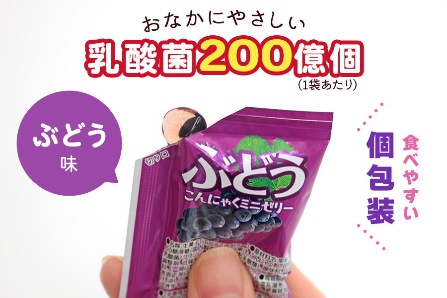 こんにゃくパーク「お得用こんにゃくミニゼリー (ぶどう味)」20個入×9袋｜ブドウ 葡萄 乳酸菌 スイーツ デザート おやつ 個包装 まとめ買い ヨコオデイリーフーズ [0242]