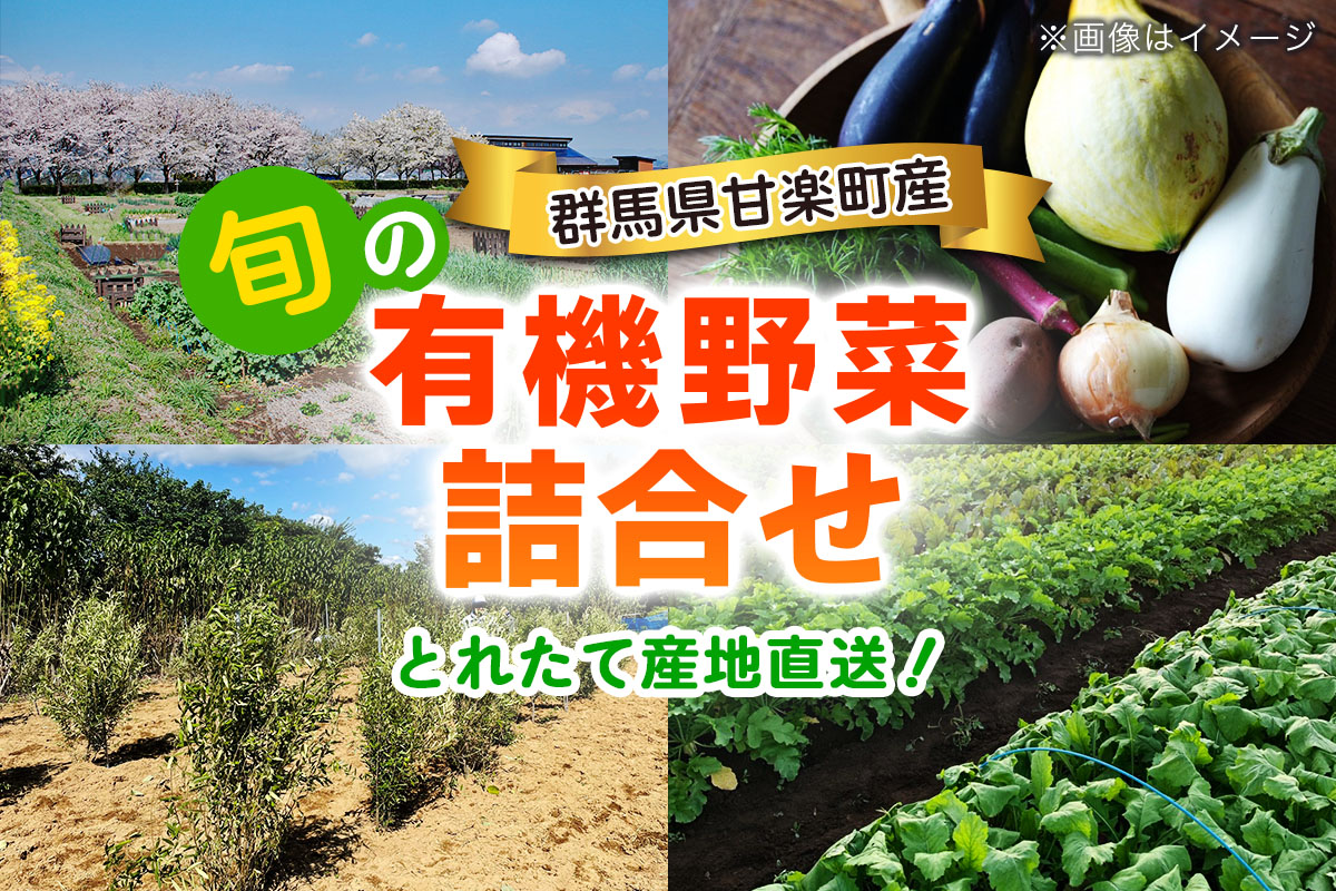 旬の有機野菜詰合せ／群馬県甘楽町産｜有機野菜 新鮮野菜 有機栽培 獲れたて 産地直送 群馬県産 甘楽町産 [0350]