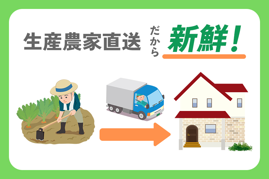 [12月中旬より順次発送] 産地直送！加藤農園の下仁田ねぎ 約4kg｜数量限定 冬の味覚 下仁田ネギ 鍋 すき焼き 葱 ネギ 殿様ねぎ かき揚げ 国産 群馬県産 産地直送 先行予約 [0181]