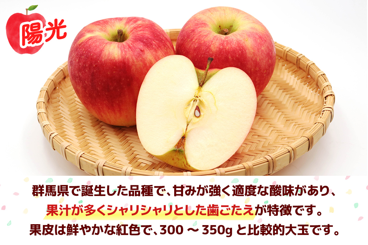 陽光 6玉(約2kg)＆りんごジュース2本セット 群馬県甘楽町産｜井田りんご園 林檎 リンゴ アップルジュース 果物 飲料 フルーツ 産地直送 果汁100% ギフト 群馬県産 甘楽町 先行予約 [0343]