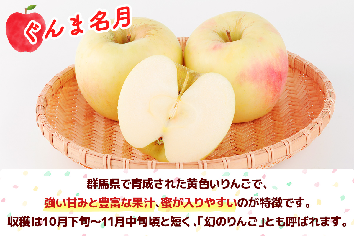 ぐんま名月 6玉(約2kg)＆りんごジュース2本セット 群馬県甘楽町産｜井田りんご園 林檎 リンゴ アップルジュース 果物 飲料 フルーツ 産地直送 果汁100% ギフト 群馬県産 甘楽町 先行予約 [0344]