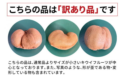 [訳あり] ちっちゃなキウイフルーツ (約4kg) 有機栽培【黒澤農園】｜数量限定 期間限定 キウイ ヘイワード 果物 果実 フルーツ 農家直送 産地直送 有機栽培 国産 甘楽町産 群馬県産 訳あり品 [0256]