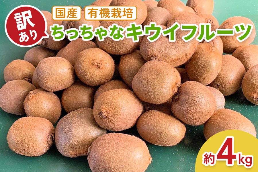 [訳あり] ちっちゃなキウイフルーツ (約4kg) 有機栽培【黒澤農園】｜数量限定 期間限定 キウイ ヘイワード 果物 果実 フルーツ 農家直送 産地直送 有機栽培 国産 甘楽町産 群馬県産 訳あり品 [0256]