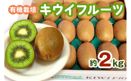 [黒澤農園] 有機栽培キウイフルーツ (約2kg) 12月中旬より順次発送｜数量限定 期間限定 キウイ ヘイワード 果物 果実 フルーツ 農家直送 産地直送 有機栽培 国産 甘楽町産 群馬県産 [0245]