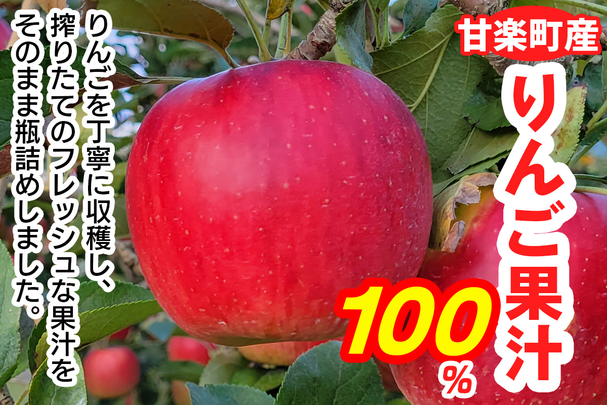 陽光 6玉(約2kg)＆りんごジュース2本セット 群馬県甘楽町産｜井田りんご園 林檎 リンゴ アップルジュース 果物 飲料 フルーツ 産地直送 果汁100% ギフト 群馬県産 甘楽町 先行予約 [0343]