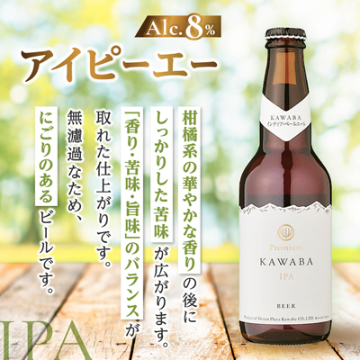 IPA　24本セット【1446348】