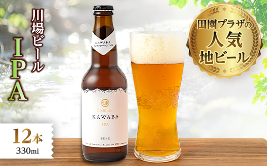 IPA縲12譛ャ繧サ繝繝医1446343縲