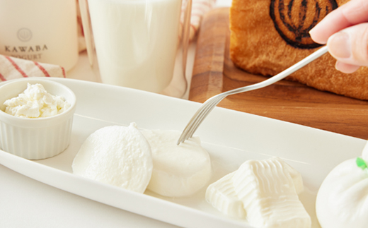 人気食パンと4種のチーズとヨーグルトセット【配送不可地域：離島・北海道・沖縄県・中国・四国・九州】【1340786】