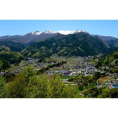 Premium KAWABA IPA (インディアンペールエール)750ml 1本【1070067】