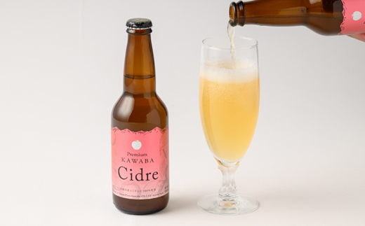 蟾晏エ繧キ繝シ繝峨Ν繧サ繝繝(6譛ャ蜈・)縲宣埼∽ク榊庄蝨ー蝓滂シ夐屬蟲カ縲代1241726縲