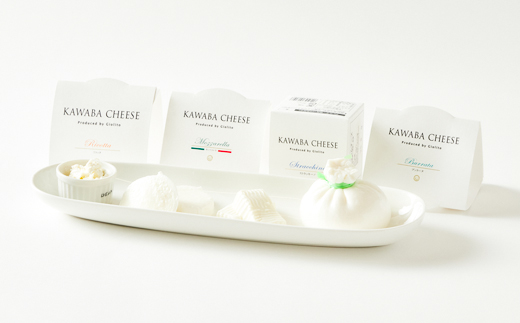 4種のチーズとヨーグルトセット【配送不可地域：離島】【1340788】