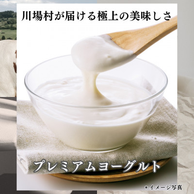 プレミアムヨーグルト350g【配送不可地域：離島】【1026846】