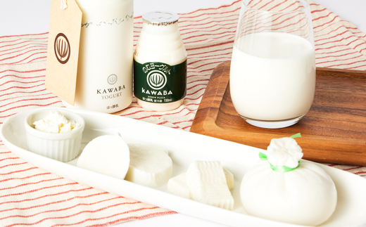 4種のチーズとヨーグルトセット【配送不可地域：離島】【1340788】