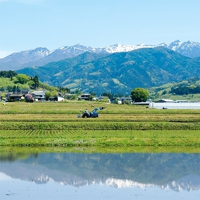 先行受付!【令和6年度産】　雪ほたか30kg　【川場村産こしひかり】【1329371】