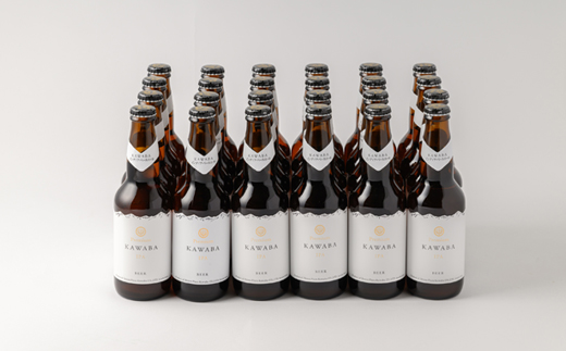 IPA　24本セット【1446348】