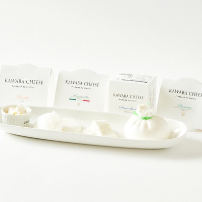 【毎月定期便】4種のチーズとヨーグルトセット全3回【配送不可地域：離島・沖縄県】【4072341】