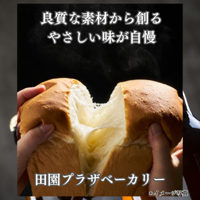 人気食パンとパスタお試しセット【配送不可地域：離島】【1340784】