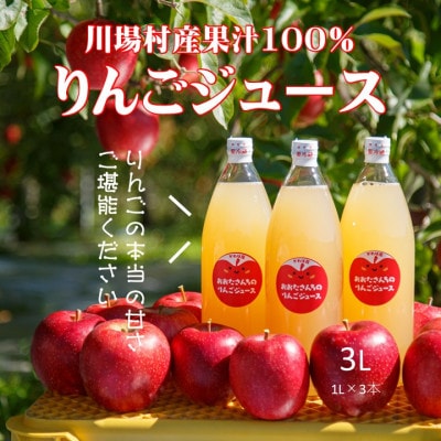 【川場村直送】ストレートりんごジュース1000ml×3本入り【1492868】