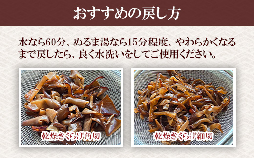 群馬県産 生 乾燥きくらげセット (こたちゃんきくらげ) 無添加 無農薬 国産
