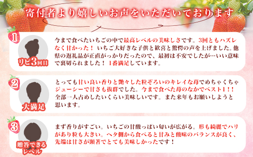 群馬県やよいひめ（いちご）約1.6kg【３年連続金賞受賞！】