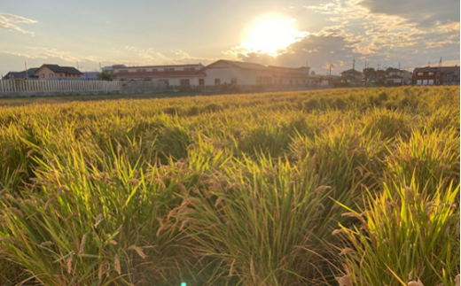 シン・ツチダ HAPPY HILL 群馬県玉村町産 陸稲栽培米仕込（完全無添加醸造　720ml）