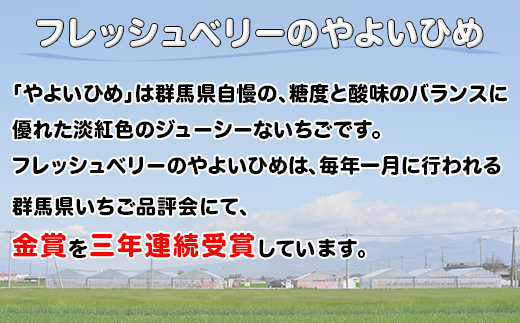 群馬県やよいひめ（いちご）約400g【３年連続金賞受賞！】