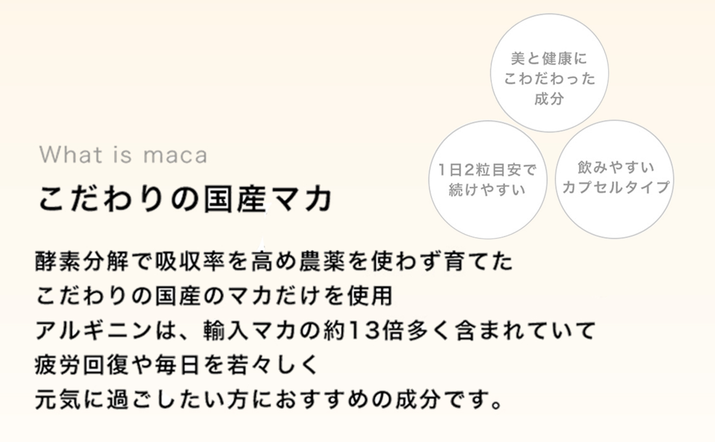 tierra5 (1個) 1セット 【素材の力を、丁寧に届ける】 マカサプリ 国産マカ 酵素分解マカ 植物由来成分 カプセルサプリ 日本製サプリ 女性向け モリンガ ハトムギ 山葡萄種子 エルゴチオネイン 栄養補助食品
