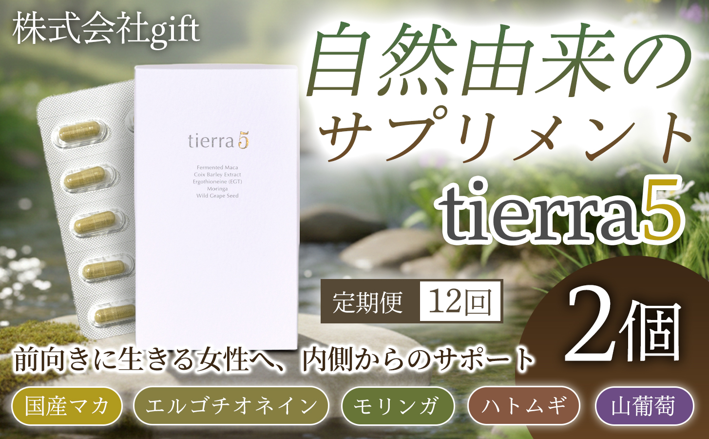 【定期便12ヶ月】tierra5（2個）1セット×12回 【素材の力を、丁寧に届ける】 マカサプリ 国産マカ 酵素分解マカ 植物由来成分 カプセルサプリ 日本製サプリ 女性向け モリンガ ハトムギ 山葡萄種子 エルゴチオネイン 栄養補助食品