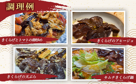 鄒、鬥ャ逵檎肇 逕溘″縺上i縺 (縺薙◆縺。繧繧薙″縺上i縺) 500g 辟。豺サ蜉 辟。霎イ阮ャ 蝗ス逕」