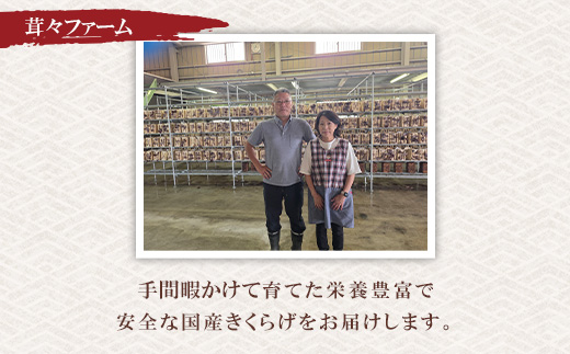 鄒、鬥ャ逵檎肇 逕溘″縺上i縺 (縺薙◆縺。繧繧薙″縺上i縺) 500g 辟。豺サ蜉 辟。霎イ阮ャ 蝗ス逕」