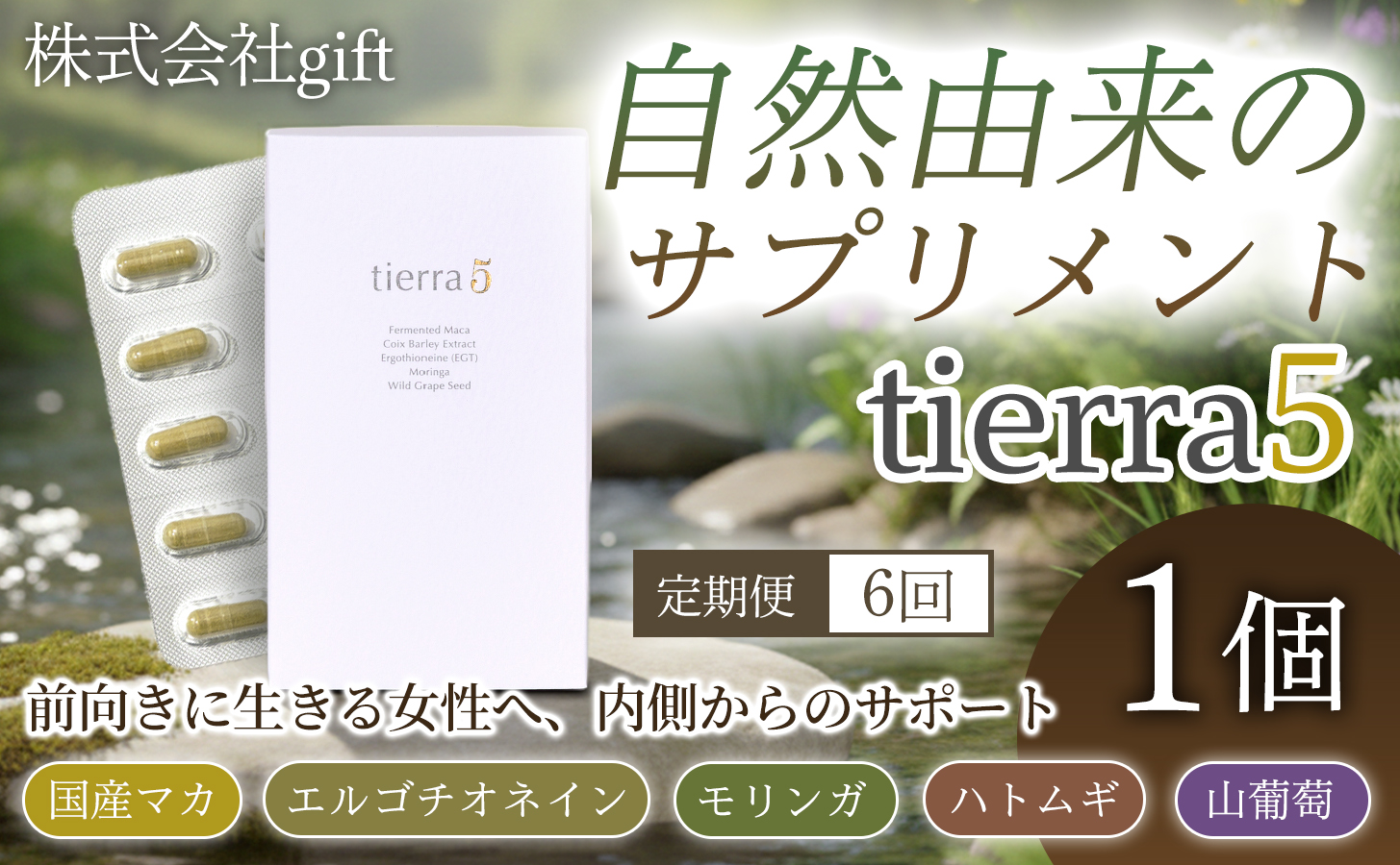 【定期便6ヶ月】tierra5（1個）1セット×6回 【素材の力を、丁寧に届ける】 マカサプリ 国産マカ 酵素分解マカ 植物由来成分 カプセルサプリ 日本製サプリ 女性向け モリンガ ハトムギ 山葡萄種子 エルゴチオネイン 栄養補助食品