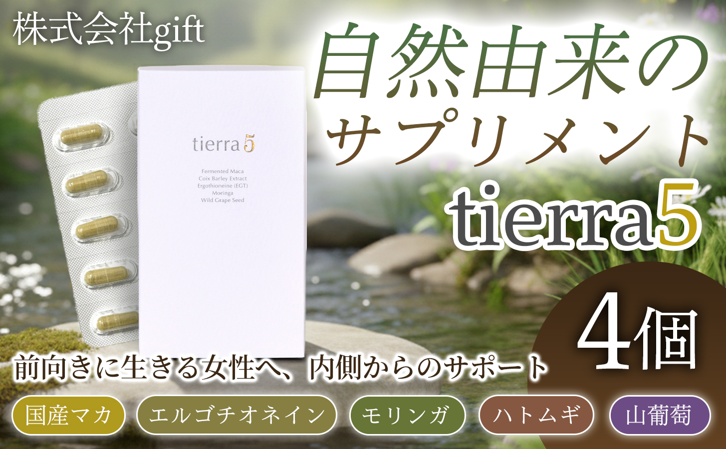 tierra5 (1個) 4セット 【素材の力を、丁寧に届ける】 マカサプリ 国産マカ 酵素分解マカ 植物由来成分 カプセルサプリ 日本製サプリ 女性向け モリンガ ハトムギ 山葡萄種子 エルゴチオネイン 栄養補助食品