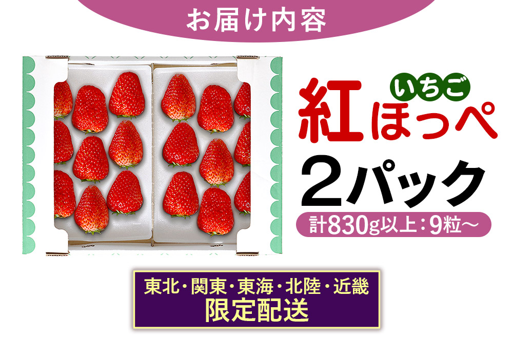 【東北・関東・東海・北陸・近畿 限定配送】いちご「紅ほっぺ」９粒〜 (2パック計830g以上)【12月中旬から順次発送】イチゴ 苺 あまい １粒35g以上の特大粒を厳選 産地直送ならではの大きさと赤さ 一般市場には流通しない厳選のいちご 数量限定