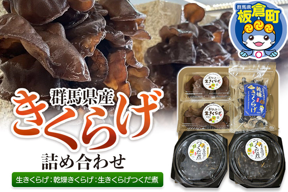 きくらげ 詰め合わせセット 群馬県産【生きくらげ 乾燥きくらげ つくだ煮】3種 計5個 [国産 きくらげ 生きくらげ 乾燥 きくらげ 生きくらげ佃煮 つくだ煮 詰め合わせ セット 群馬県 板倉町]