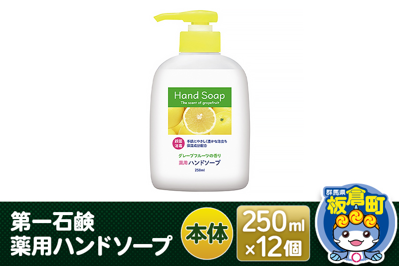 第一石鹸 薬用ハンドソープ 本体 250ml×12個