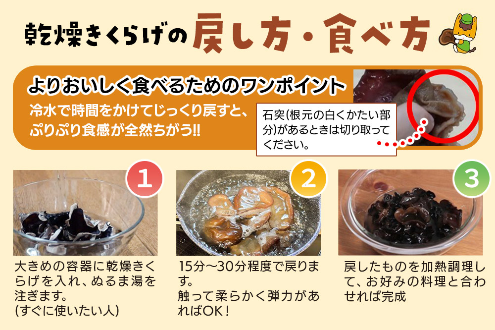 きくらげ 詰め合わせセット 群馬県産【生きくらげ 乾燥きくらげ つくだ煮】3種 計5個