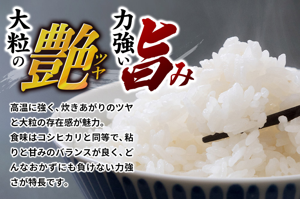 《定期便5ヶ月》令和7年産 【白米】群馬県 板倉町産 にじのきらめき 5kg