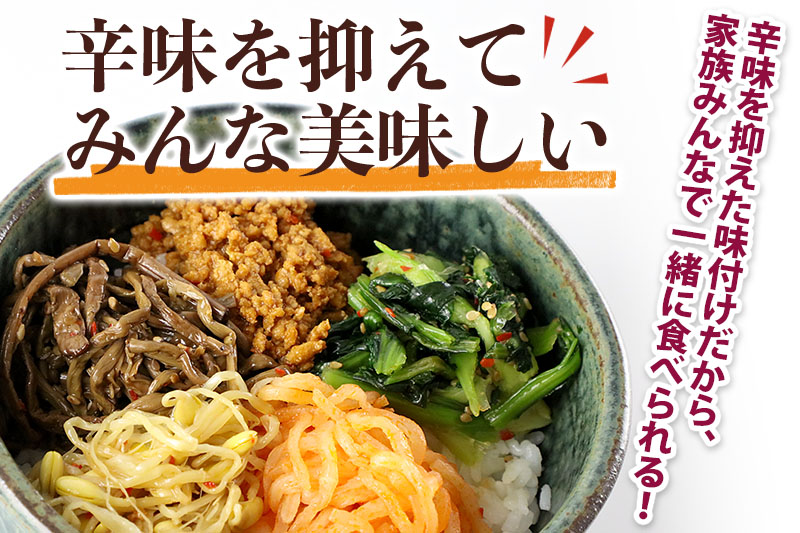 ビビンバ丼キット 2セット 合計12人前（1セット6人前：520g）